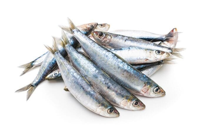 Sardinas congeladas 1 kg - Imagen 1