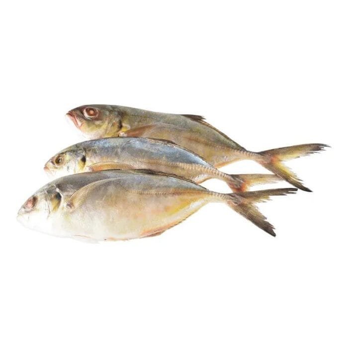 Pescado cojinua  1 kg - Imagen 1