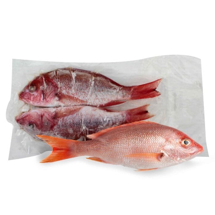 bolsa de pescado pargo Bolsa de pescado Pargo entero 1.7 kg - Imagen 1