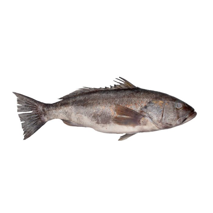 Pescado cabrilla 1kg - Imagen 1
