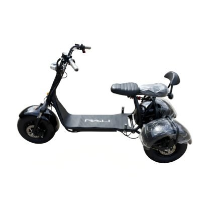 Moto eléctrica tres ruedas Rali