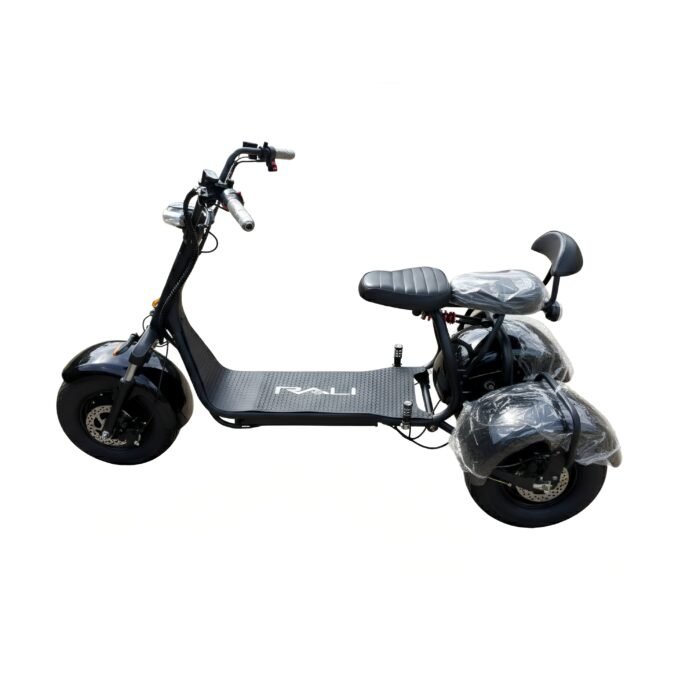 Moto eléctrica tres ruedas Rali - Imagen 1