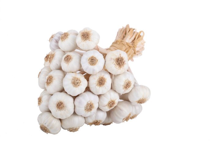 Mazo de ajo rústico Chileno 20 U - Imagen 1